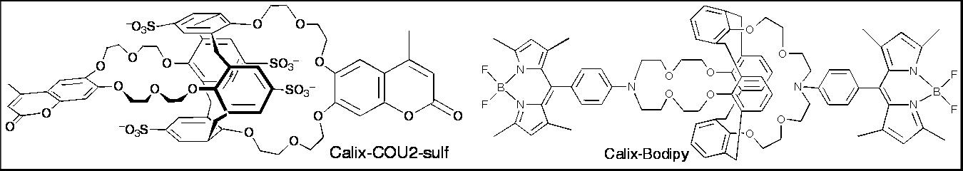fluoroionophores s�lectifs des alcalins