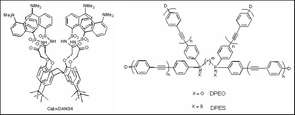 fluoroionophores s�lectifs des m�taux lourds