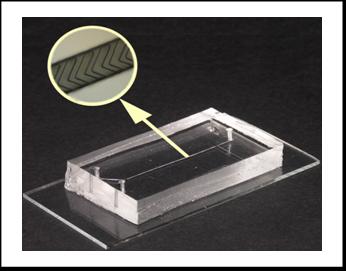 Photographie du micror�acteur en Y (PDMS sur verre)