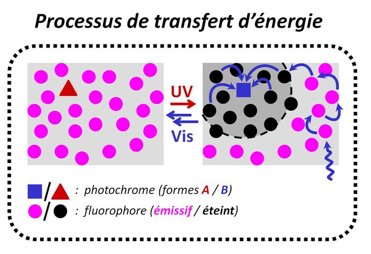 Inscription r�versible de fluorescence 2
