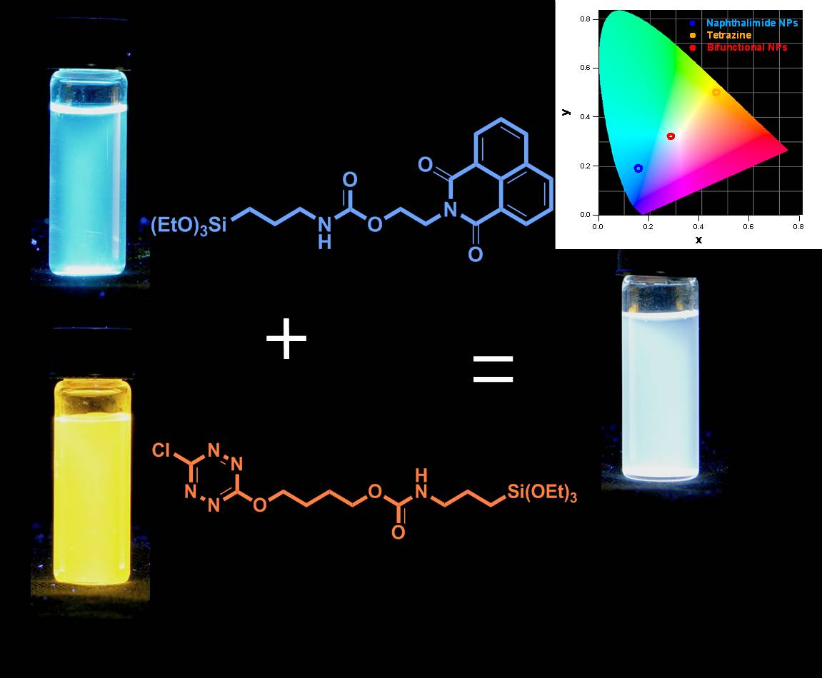Nanoparticules de silices fluorescentes blanches