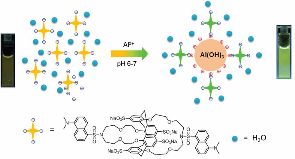 Illustration du ph�nom�ne d'augmentation de la fluorescence par complexation de l'aluminium