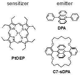 Figure 1. Chemical structures