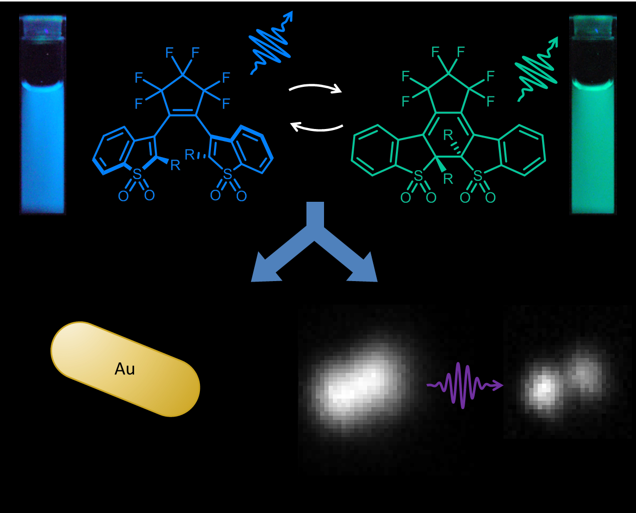 E Barrez graphical abstract
