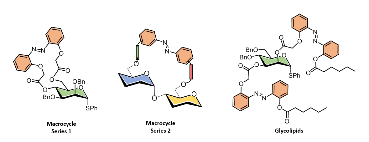C Lin graphical abstract