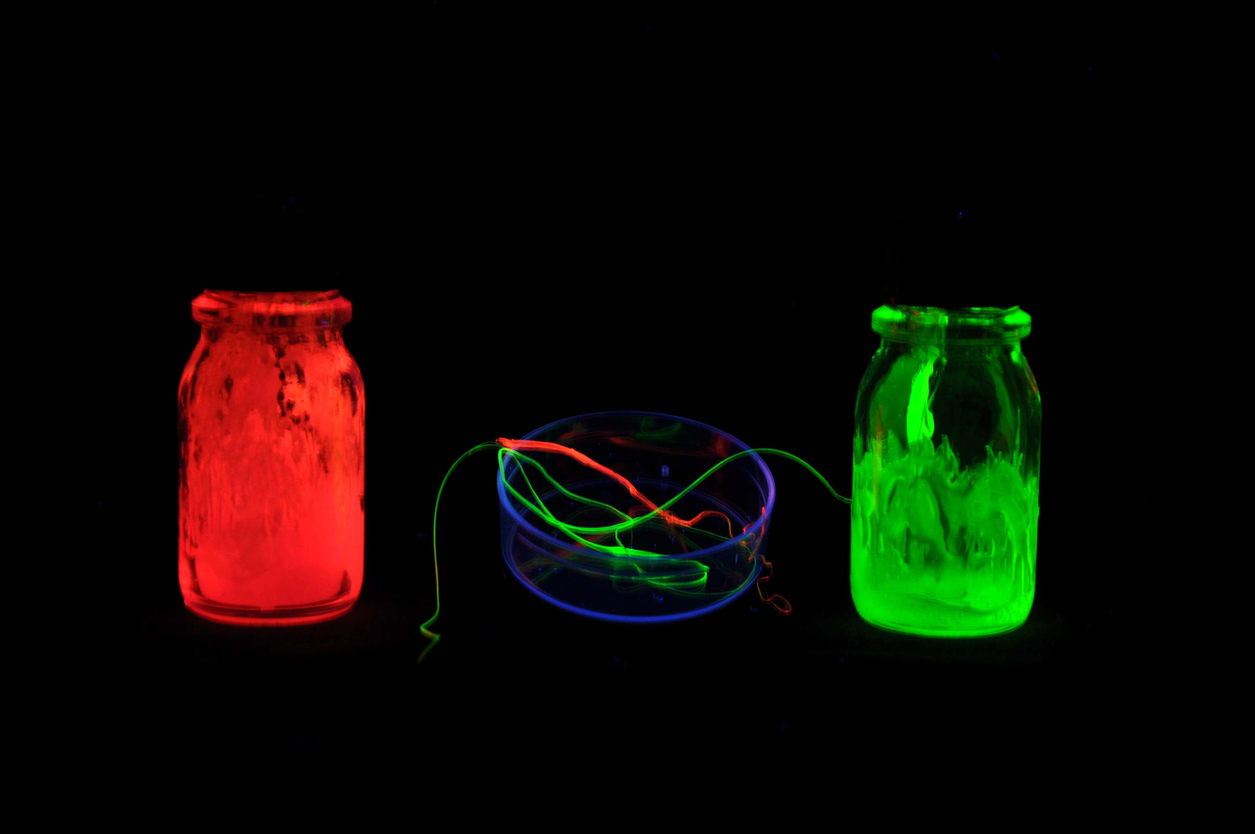 Fluorescence