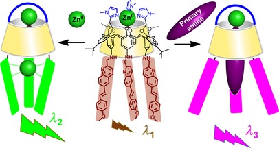 graphical abstract