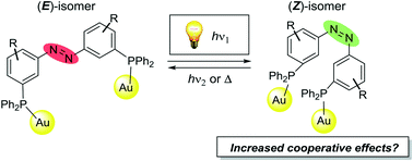 graphical abstract