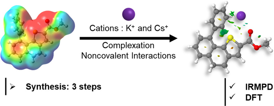 graphical abstract