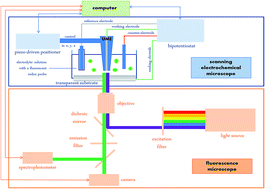 graphical abstract