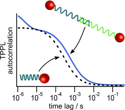 graphical abstract