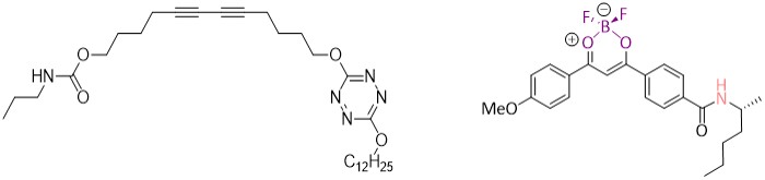 polydiac�tyl�ne et complexe de bore-dic�tone
