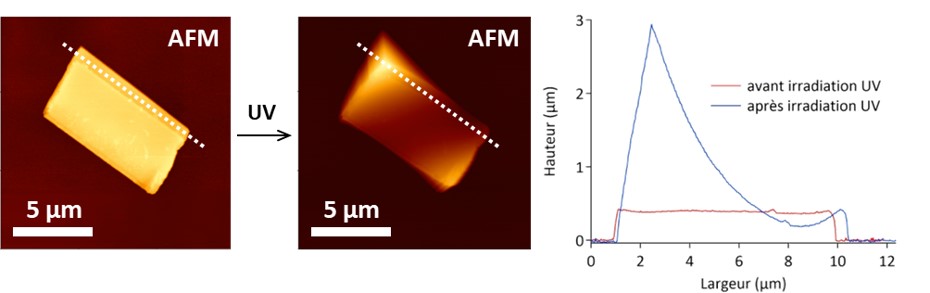 AFM d'un microcristal photochrome